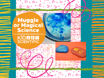 Muggle or Magical Science Workshop (5-12 Years)